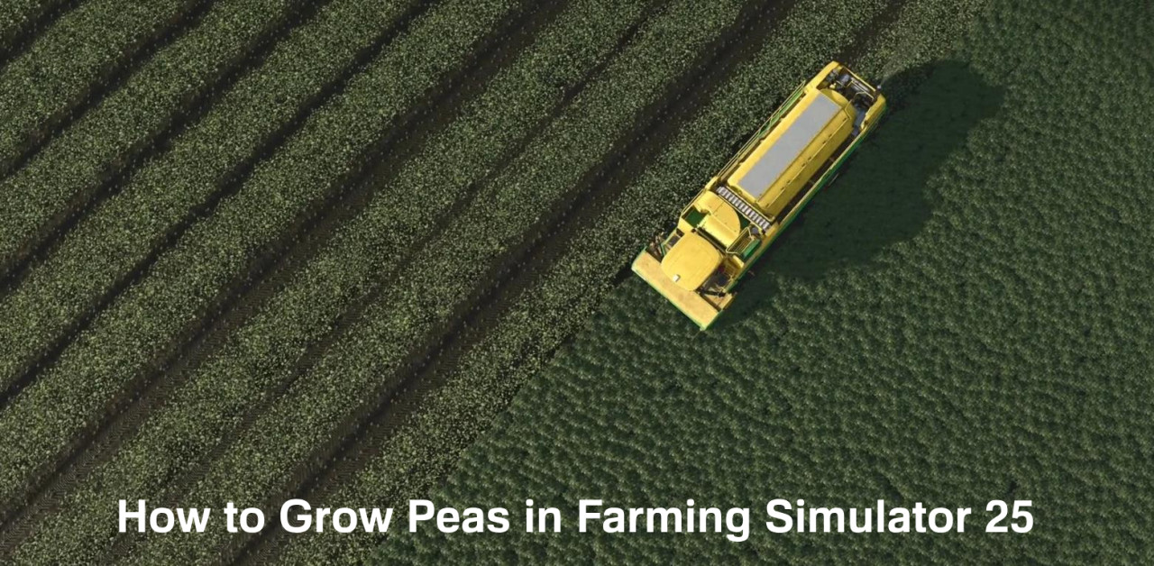How to Grow Peas in Farming Simulator 25